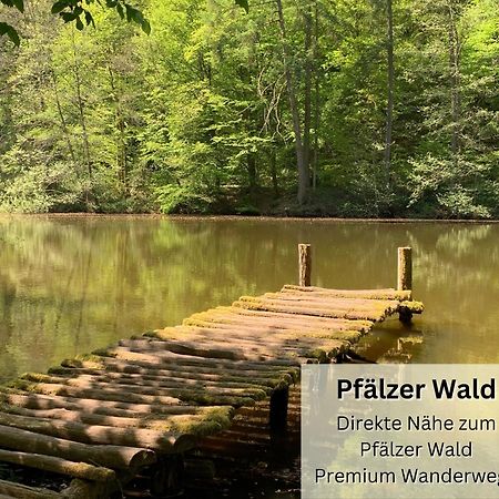 Psapartment Am Pfaelzer Wald Naehe Outlet Center Zweibruecken Pirmasens Exteriér fotografie