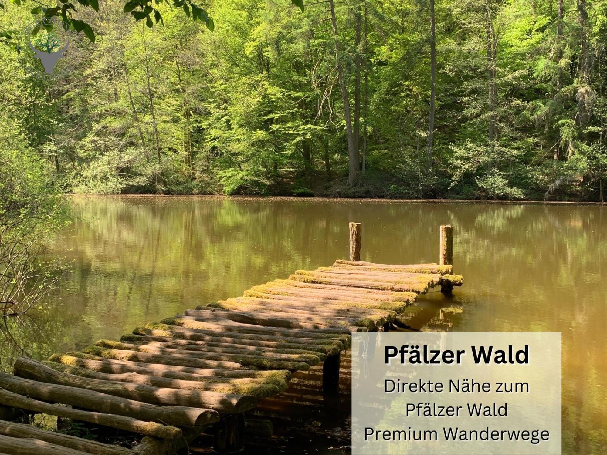Psapartment Am Pfaelzer Wald Naehe Outlet Center Zweibruecken Pirmasens Exteriér fotografie